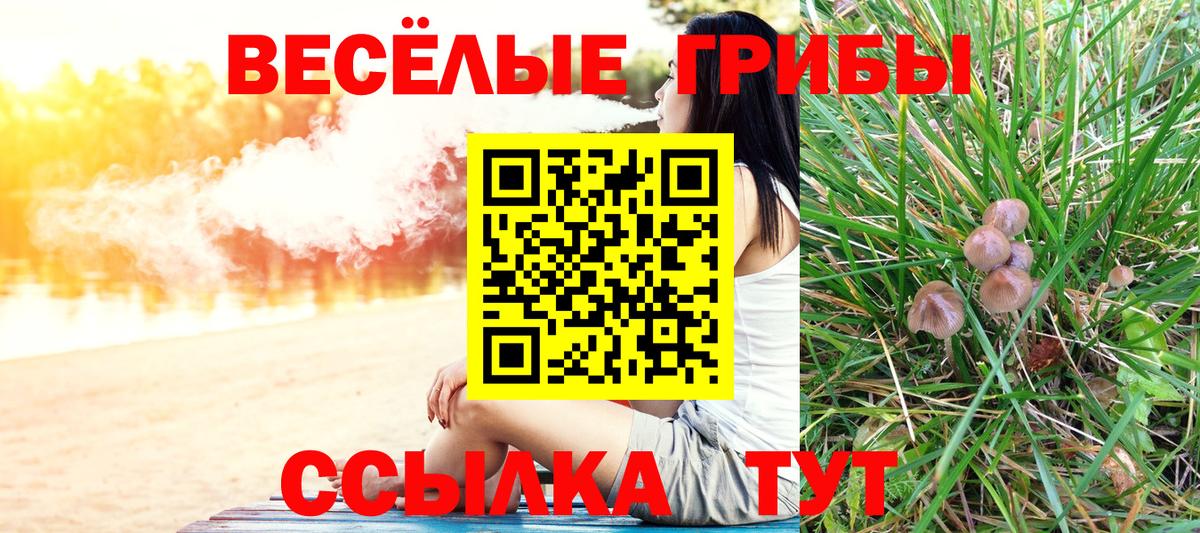 Стрежевой  купить наркотики цена  Псилоцибиновые грибы Cubensis  Вход с VPN  Галлюциногенные грибы Psilocybine cubensis 
